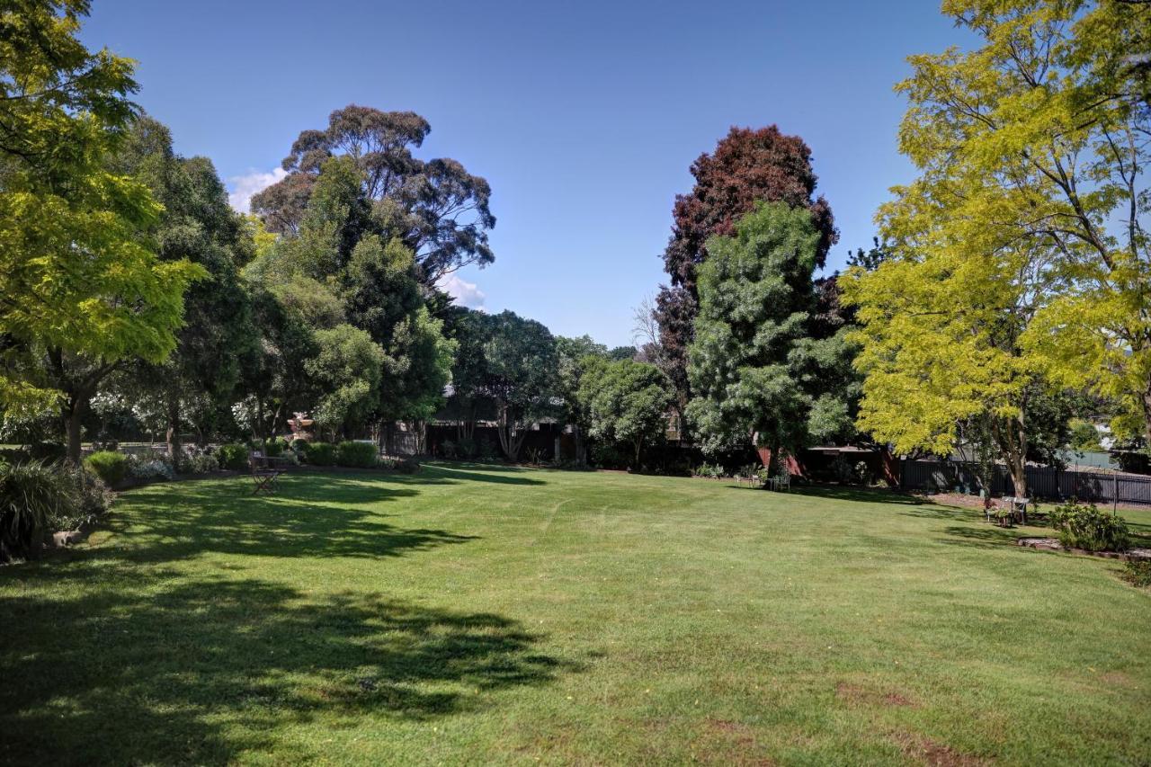 Yarra Gables Motel Healesville Buitenkant foto