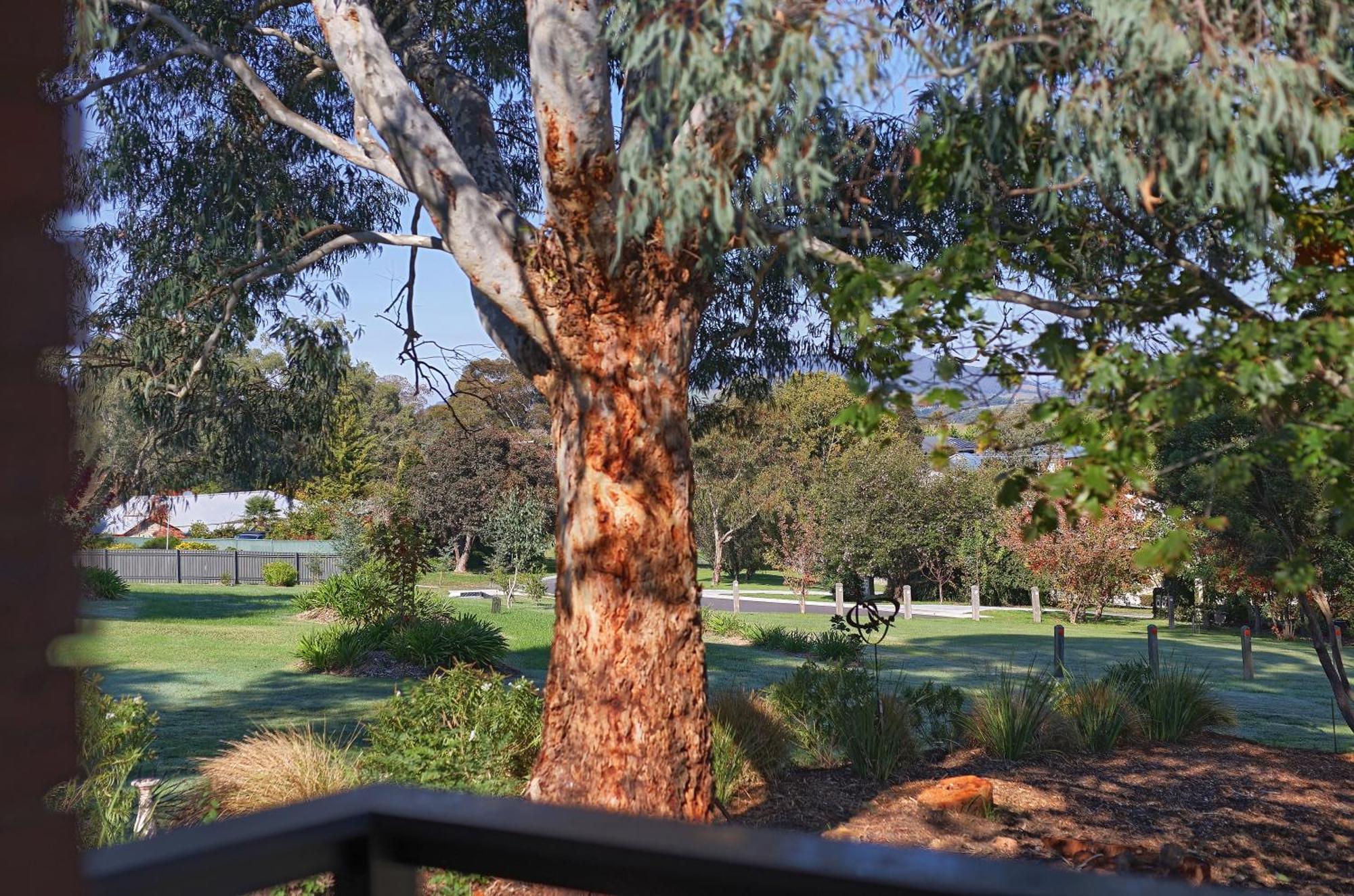 Yarra Gables Motel Healesville Buitenkant foto